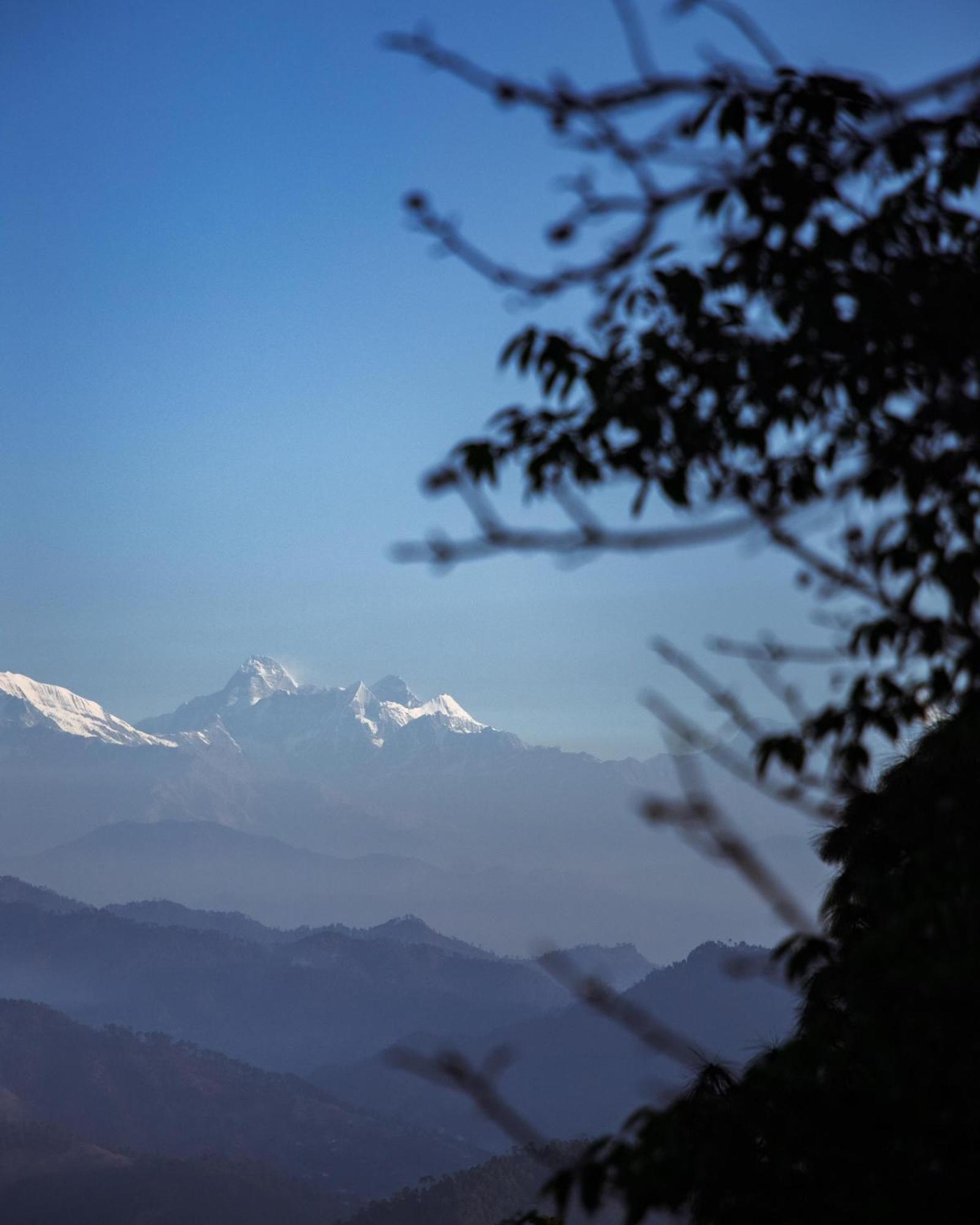 Kasar Himalaya Holiday Resort, Binsar Rd Алмора Екстериор снимка
